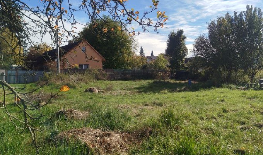 Prodej zahrady 810 m², Kamenný Přívoz – náhled fotky 4