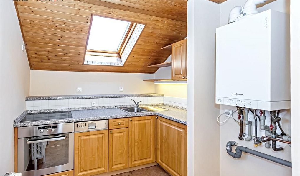 Pronájem domu 827 m² s pozemkem 8 770 m², Praha – náhled fotky 15