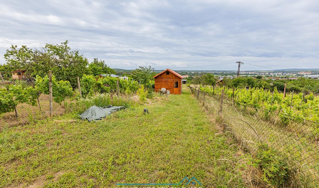 Prodej chaty/chalupy 40 m² s pozemkem 852 m², Dobšice – náhled fotky 4