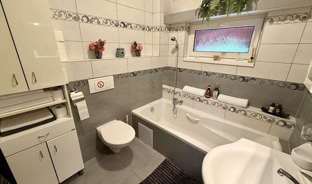 Prodej domu 219 m² s pozemkem 456 m², Mladá Boleslav – náhled fotky 8