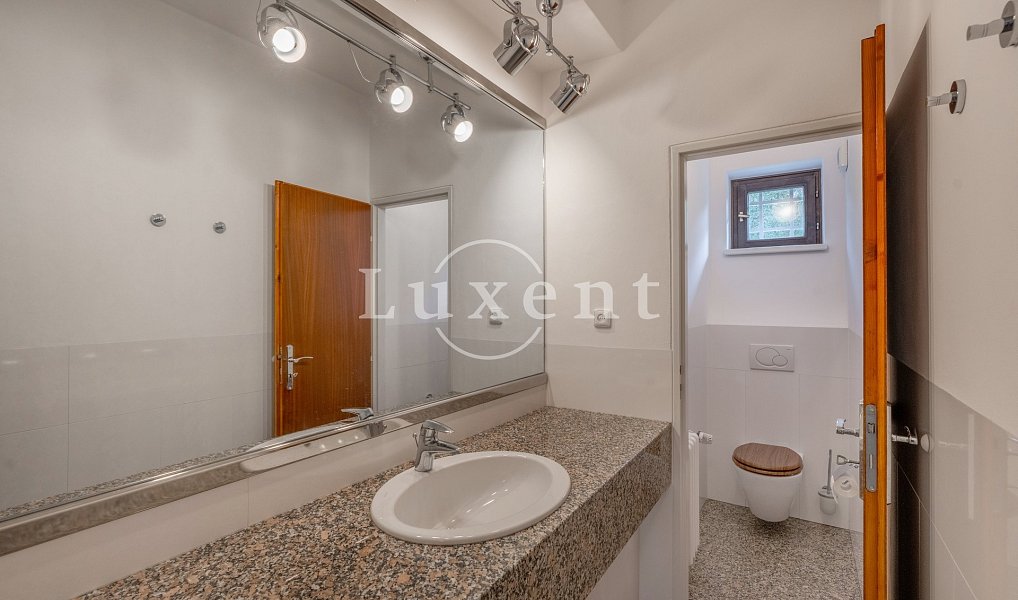 Pronájem domu 417 m² s pozemkem 1 180 m², Praha – náhled fotky 31