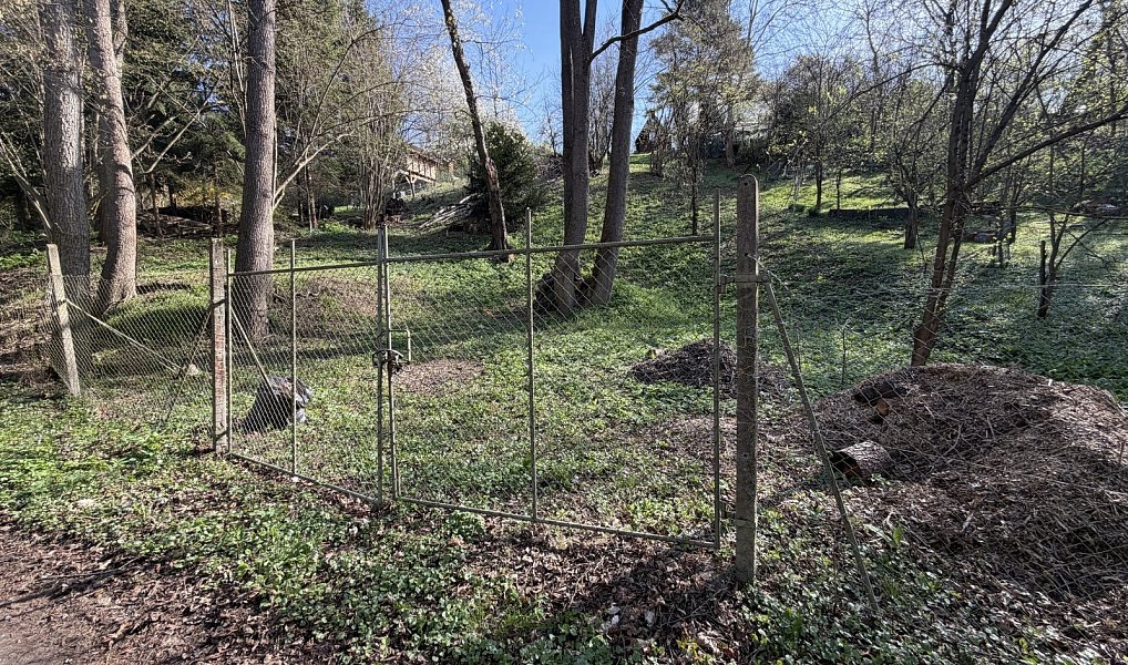 Prodej chaty/chalupy 25 m² s pozemkem 733 m², Uherský Brod – náhled fotky 5