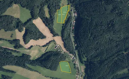 Prodej pole 31 498 m², Ruda nad Moravou - Hostice, okres Šumperk
