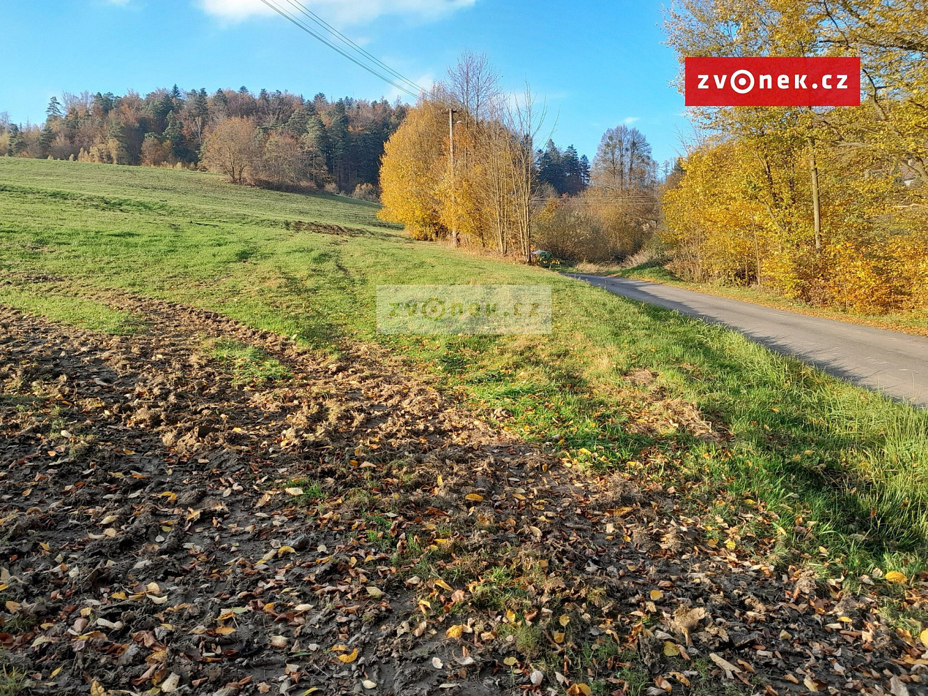 Prodej louky 20 000 m² – fotografie 5