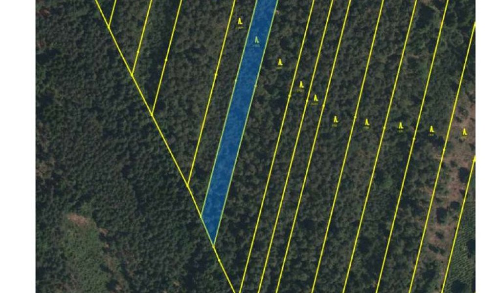 Prodej lesa 32 388 m², Třeboň – náhled fotky 2