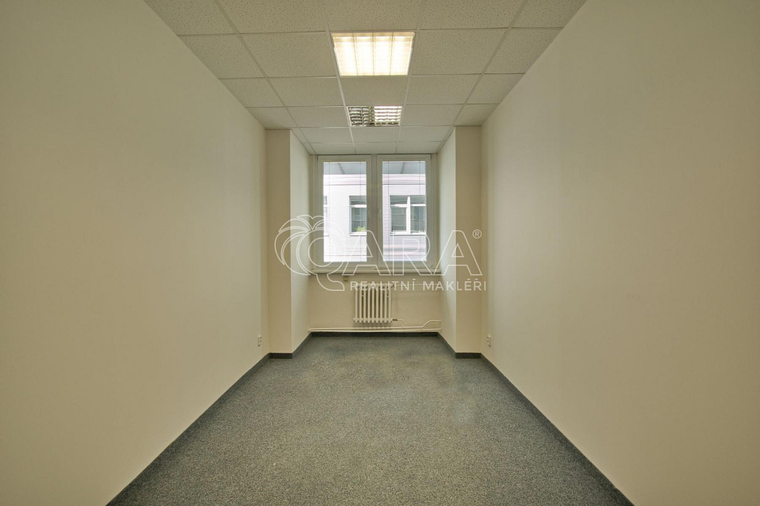 Pronájem kanceláře 650 m² – fotografie 5