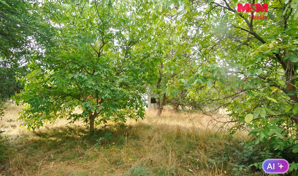 Prodej stavebního pozemku 2 828 m², Družec – náhled fotky 16