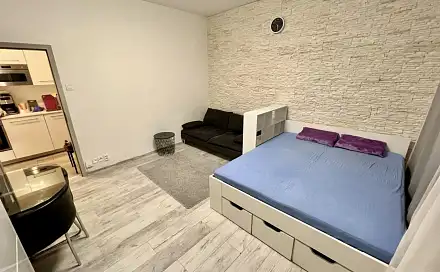 Pronájem bytu 1+kk 36 m², Krakovská, Praha 1 - Nové Město