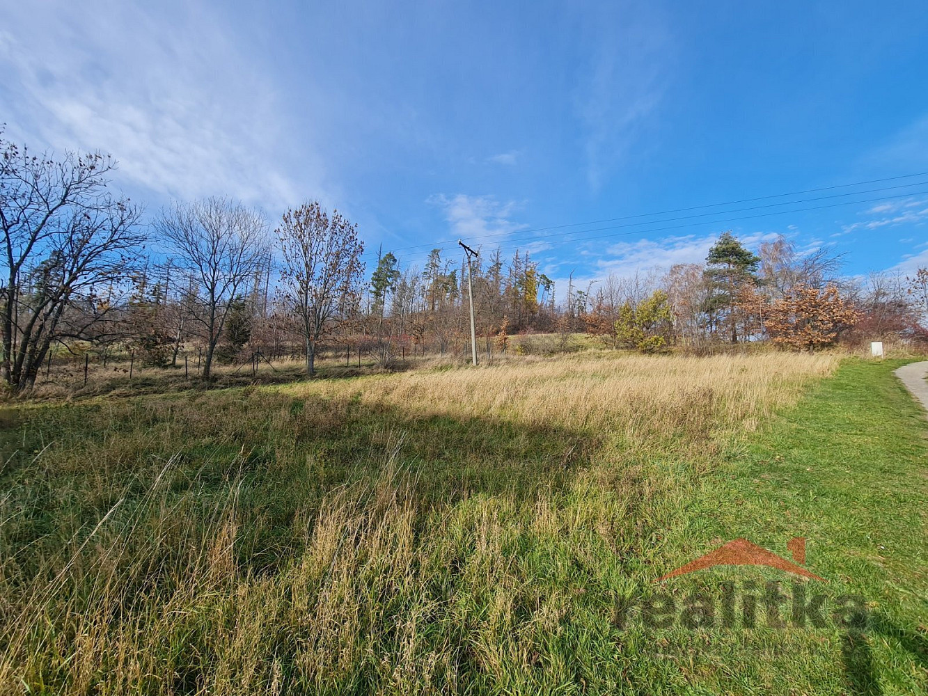 Prodej stavebního pozemku 1 216 m² – fotografie 4