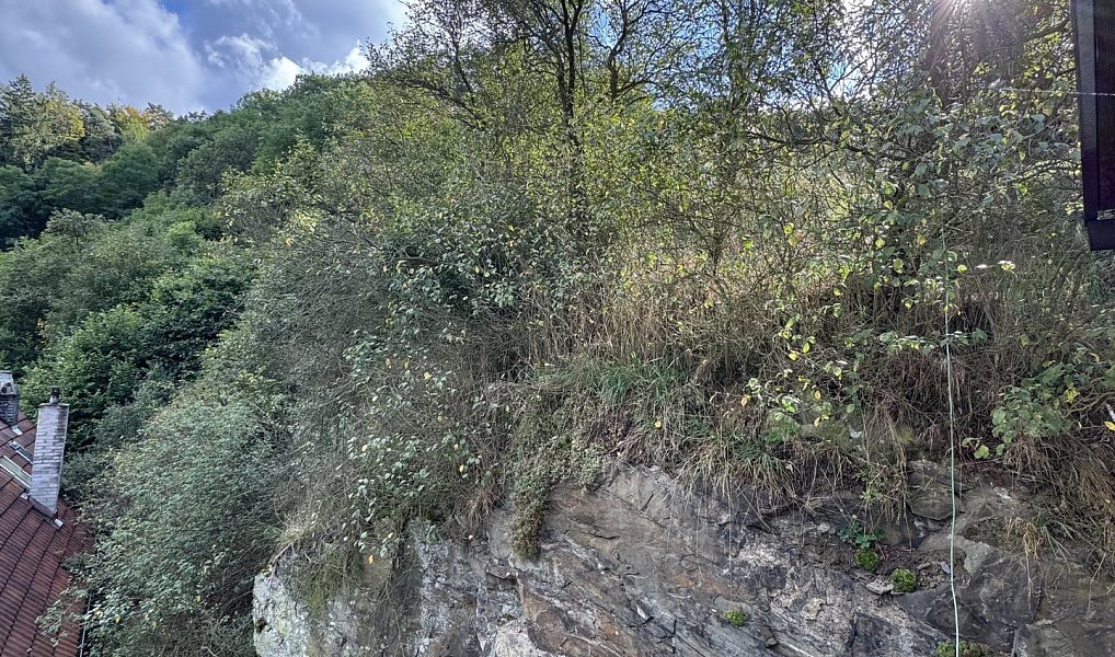 Prodej domu 182 m² s pozemkem 3 800 m², Pavlíkov – náhled fotky 11