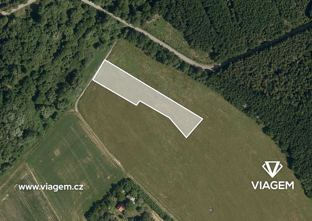 Prodej pole 3 705 m²