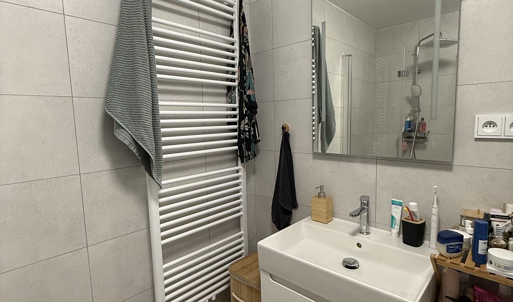 Pronájem bytu 1+kk 44 m², Hradec Králové – náhled fotky 6