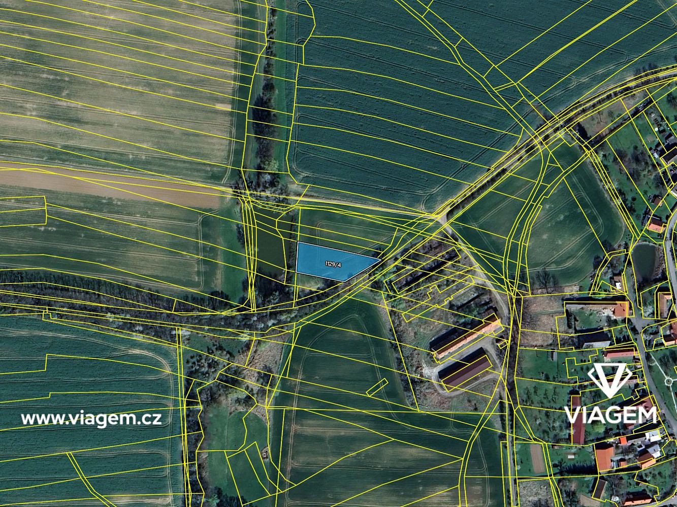 Prodej pole 650 m² – fotografie 4