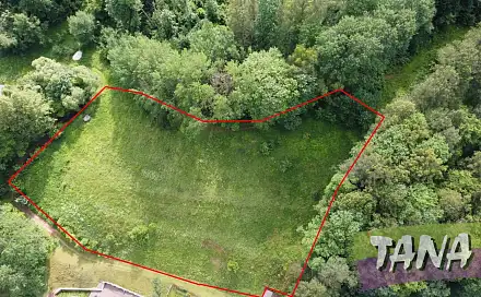 Prodej louky 5 736 m², Rudník - Arnultovice, okres Trutnov