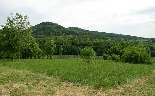 Prodej stavebního pozemku 2 373 m², Třebušín - Dolní Týnec, okres Litoměřice