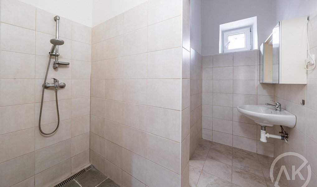 Pronájem bytu 1+kk 39 m², Ostrava – náhled fotky 5
