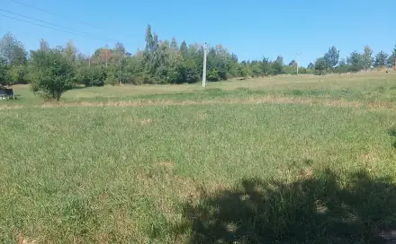 Prodej zahrady 6 360 m², Stražisko, okres Prostějov