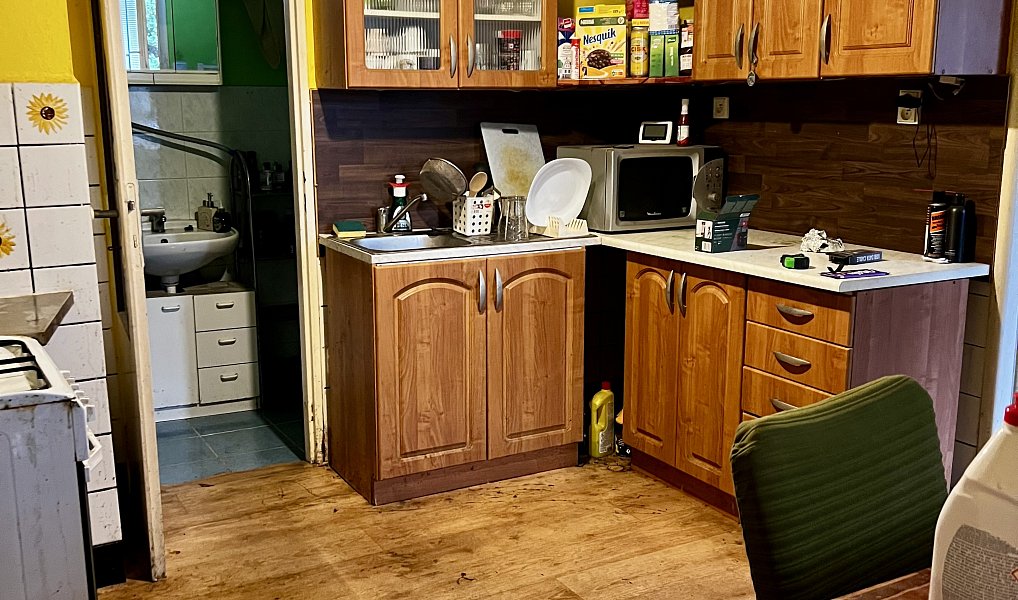 Prodej domu 300 m² s pozemkem 551 m², Praha – náhled fotky 7