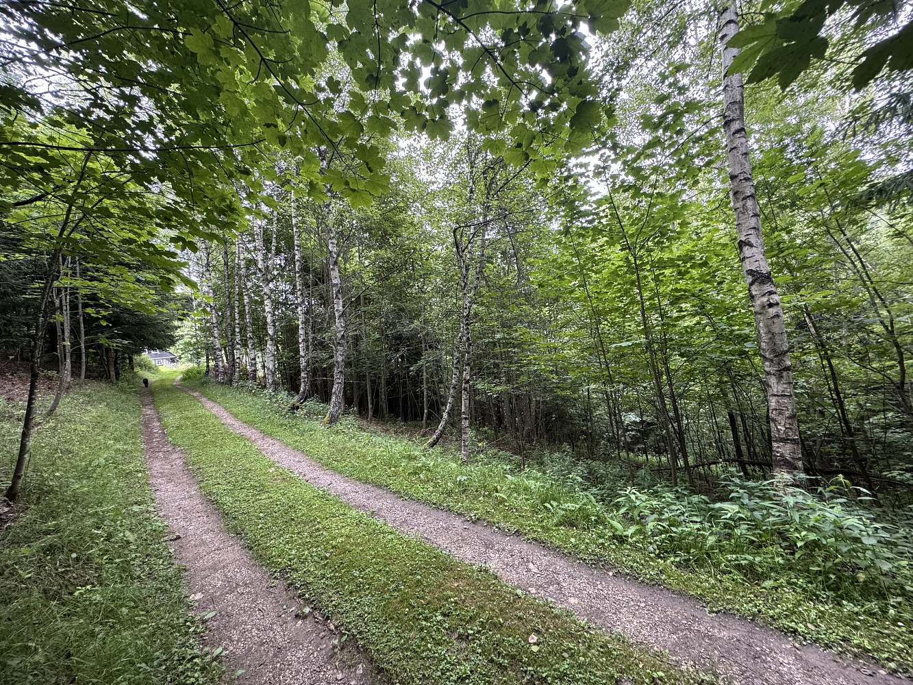 Prodej komerčního pozemku 2 032 m² – fotografie 5