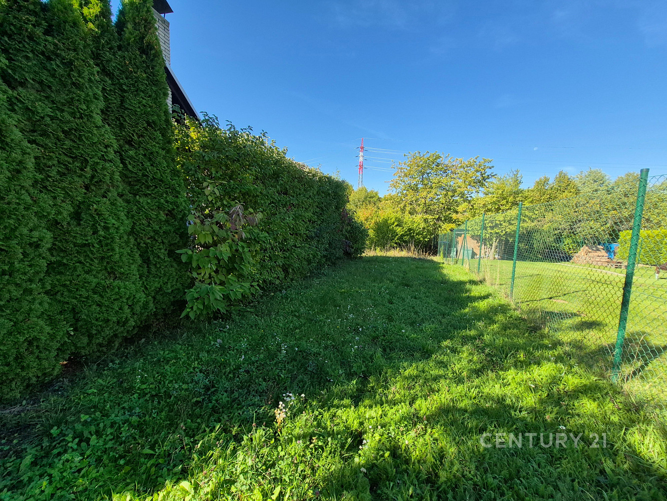Prodej zahrady 434 m² – fotografie 4