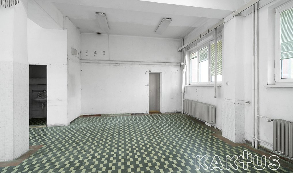 Pronájem obchodních prostor 80 m², Ostrava – náhled fotky 8