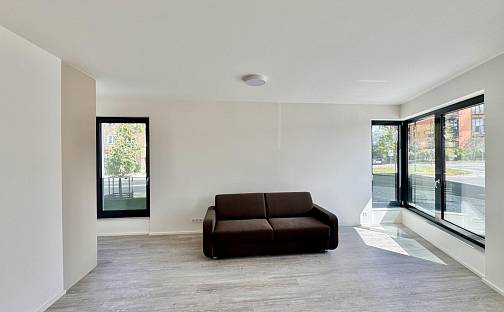 Pronájem bytu 1+kk 40 m², Malešická, Praha 3 - Žižkov