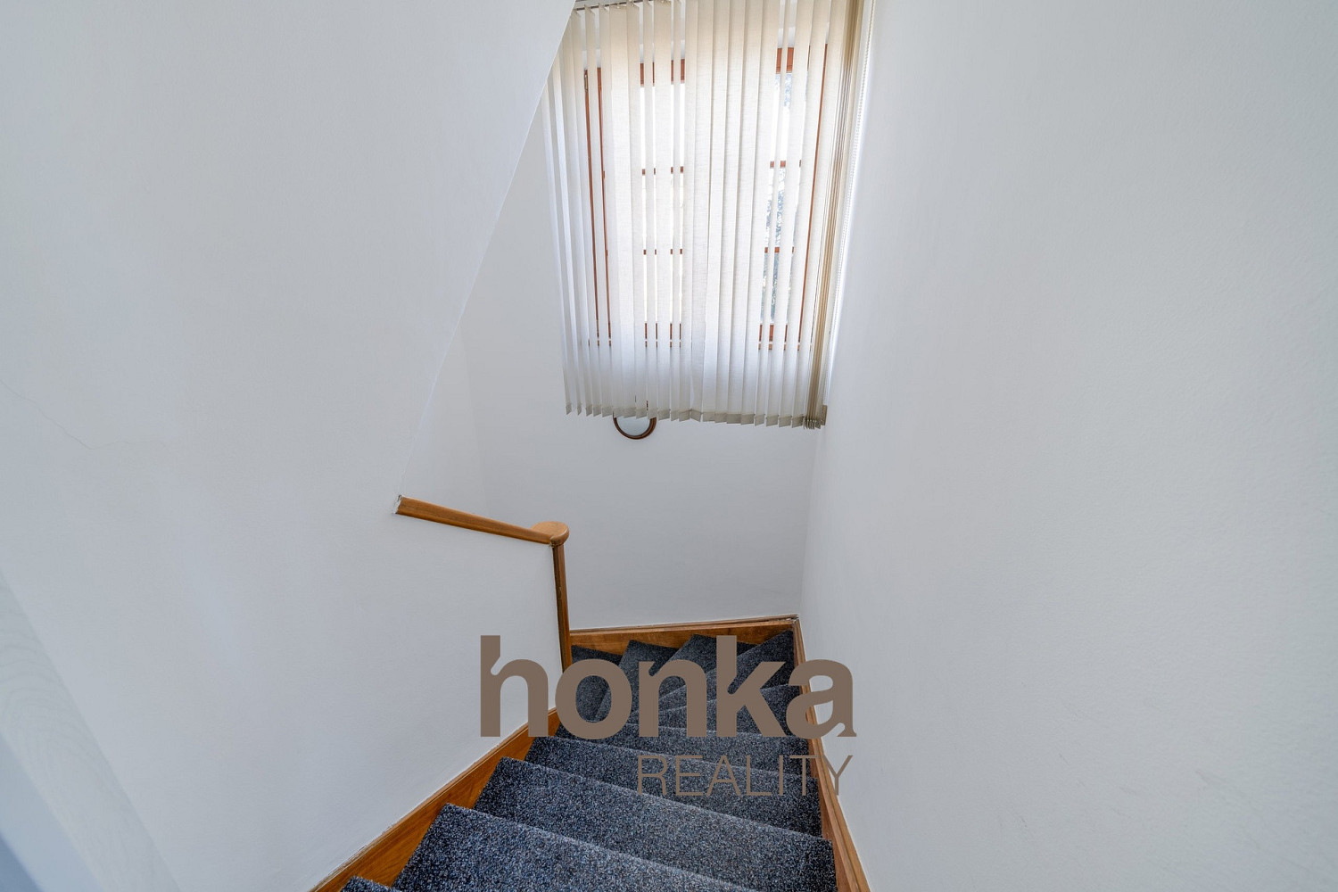 Fotka 14 z 24