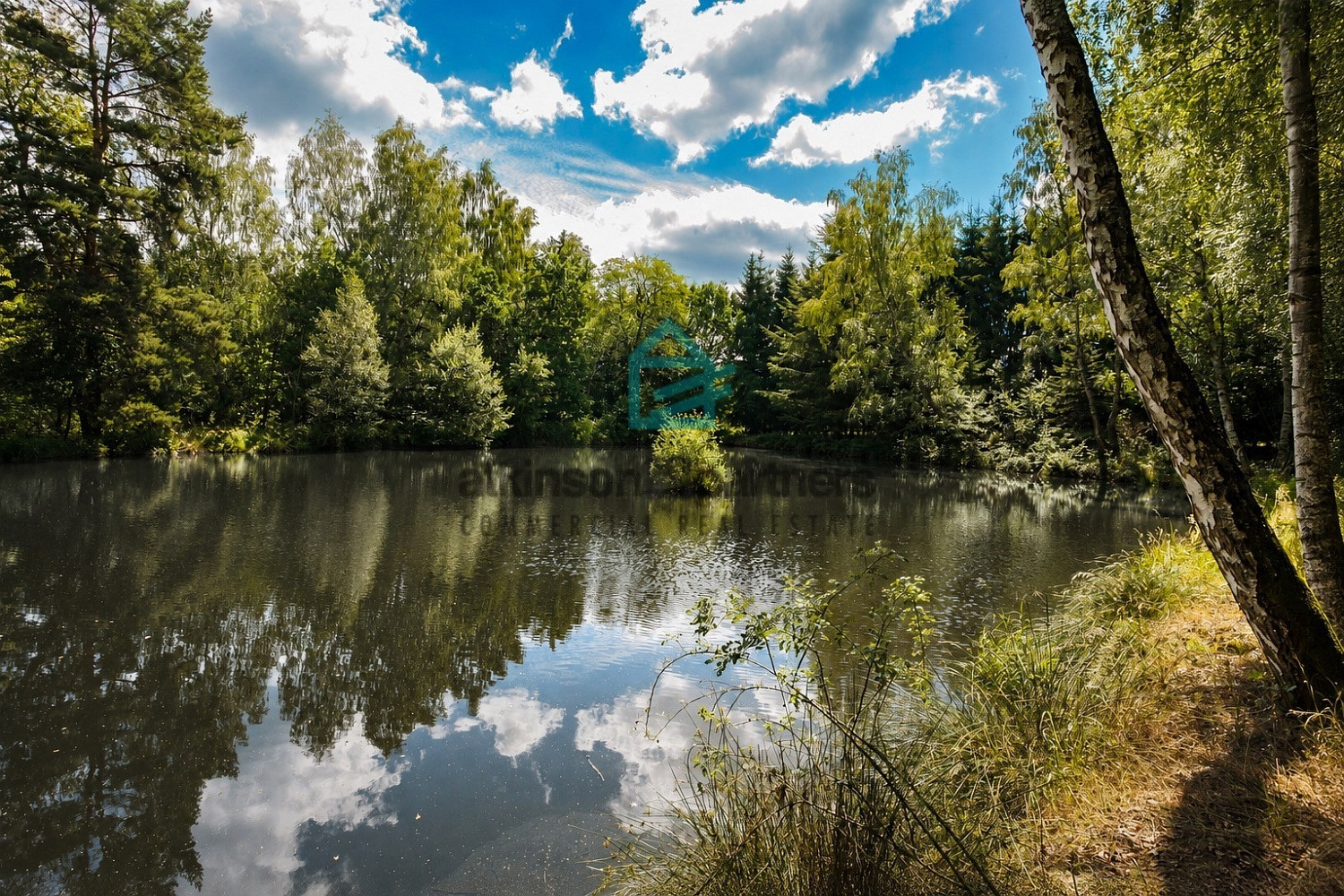 Prodej pozemku 6 805 m² – fotografie 4
