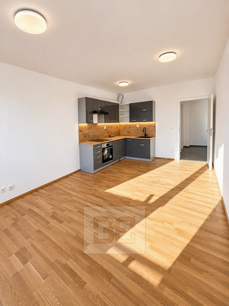 Pronájem bytu 2+kk 52 m²