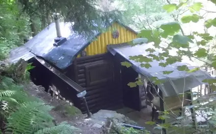 Prodej chaty/chalupy 24 m² s pozemkem 24 m², Krňany - Třebsín, okres Benešov