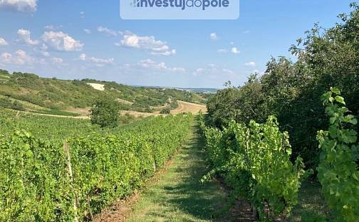 Prodej pole 1 328 m², Starovičky, okres Břeclav