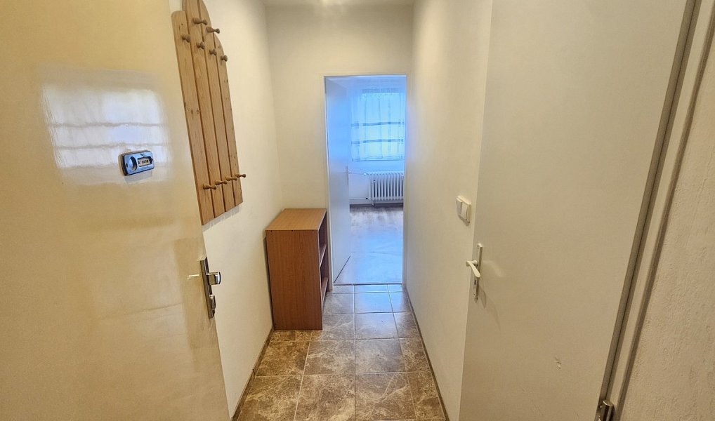 Pronájem bytu 1+kk 19 m², Ústí nad Labem – náhled fotky 2