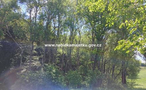 Prodej pozemku 3 373 m², Netřebice, okres Český Krumlov