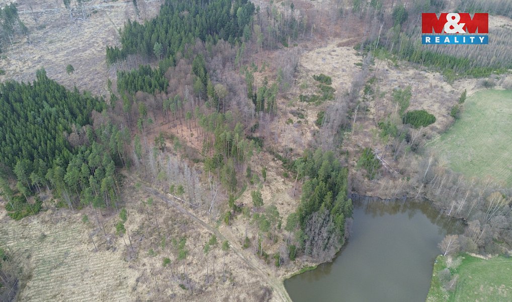 Prodej lesa 7 873 m², Mrákotín – náhled fotky 6