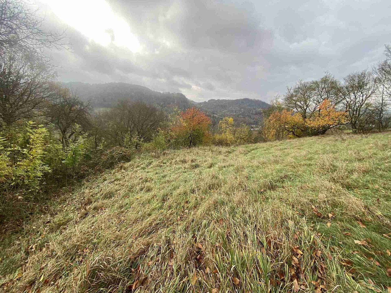 Prodej pozemku 4 431 m² – fotografie 3