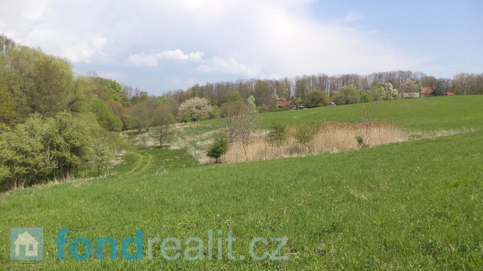 Prodej pole 8 787 m² – fotografie 4