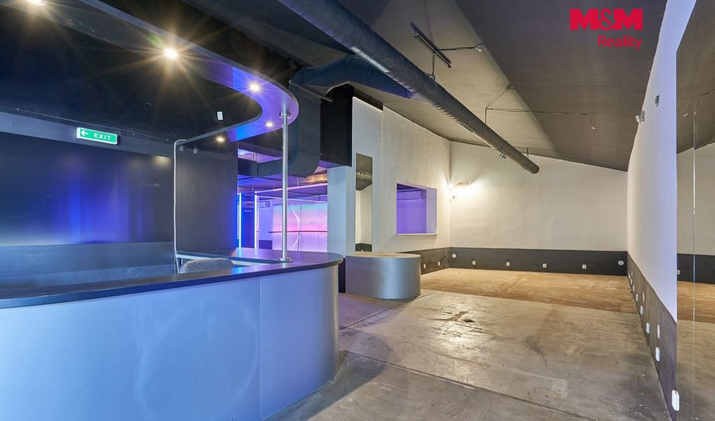 Pronájem obchodních prostor 365 m², Drslavice – náhled fotky 10