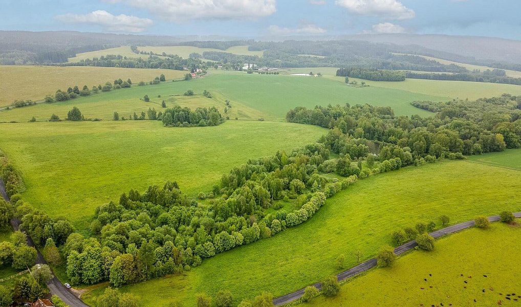 Prodej pole 54 868 m², Krajková – náhled fotky 4