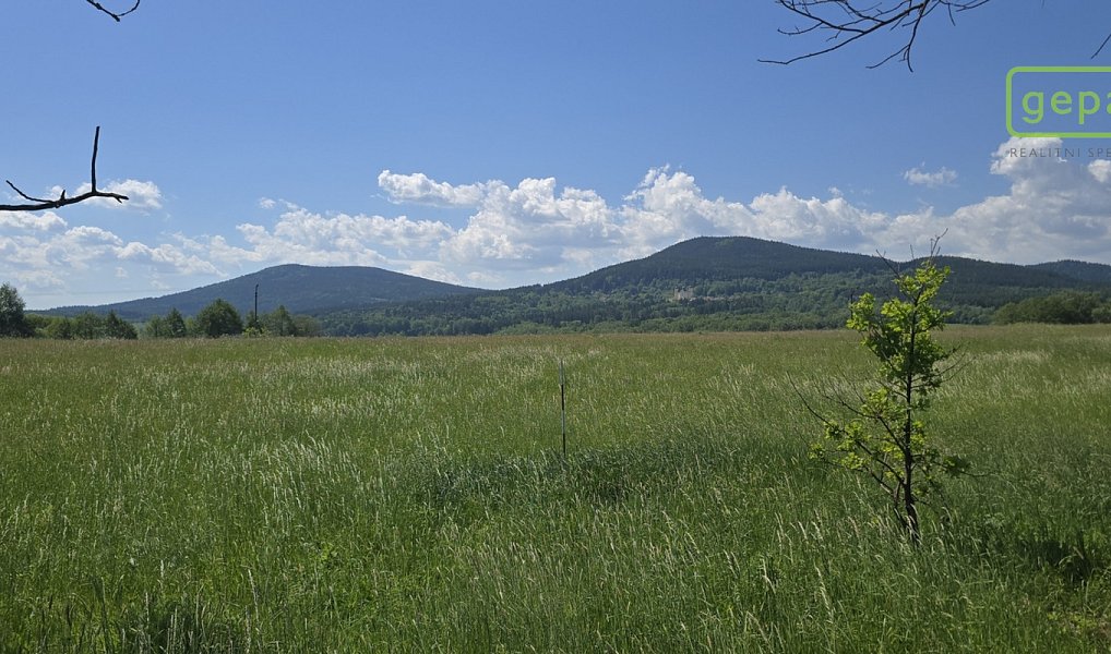 Prodej stavebního pozemku 7 197 m², Horní Stropnice – náhled fotky 2