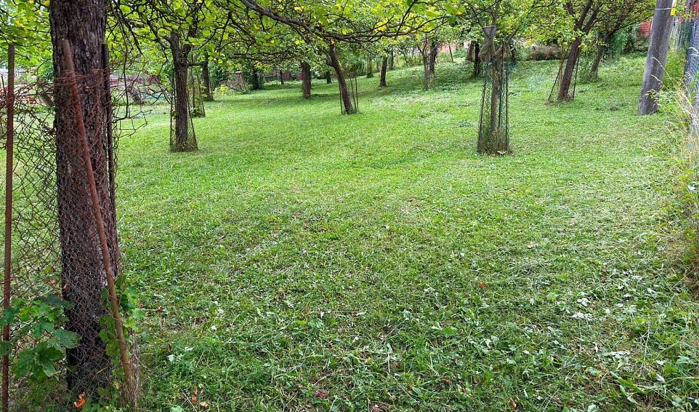 Prodej stavebního pozemku 2 771 m², Velký Vřešťov – náhled fotky 11