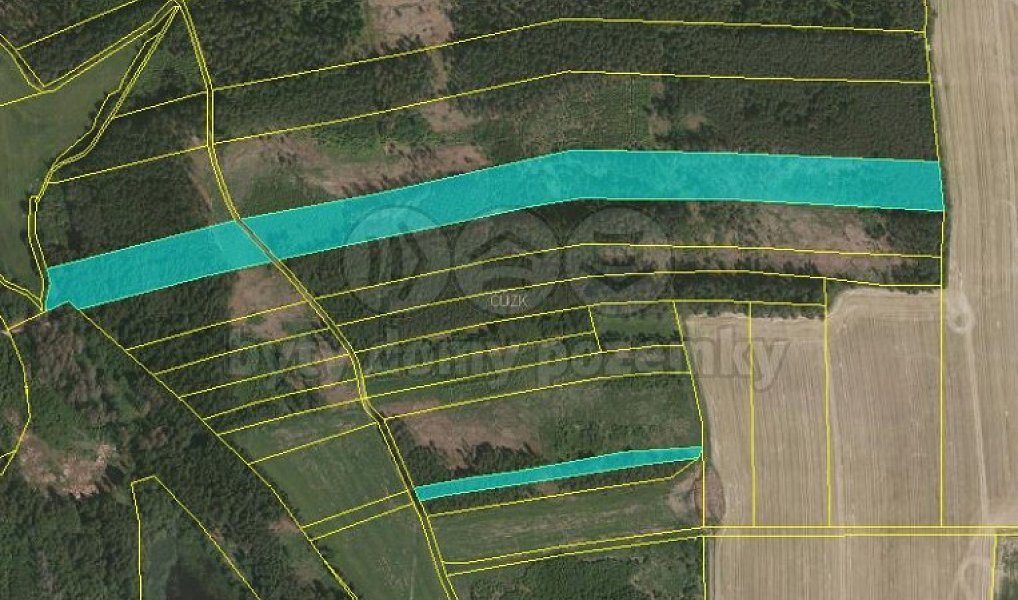 Prodej lesa 30 934 m², Ratibořské Hory – náhled fotky 2