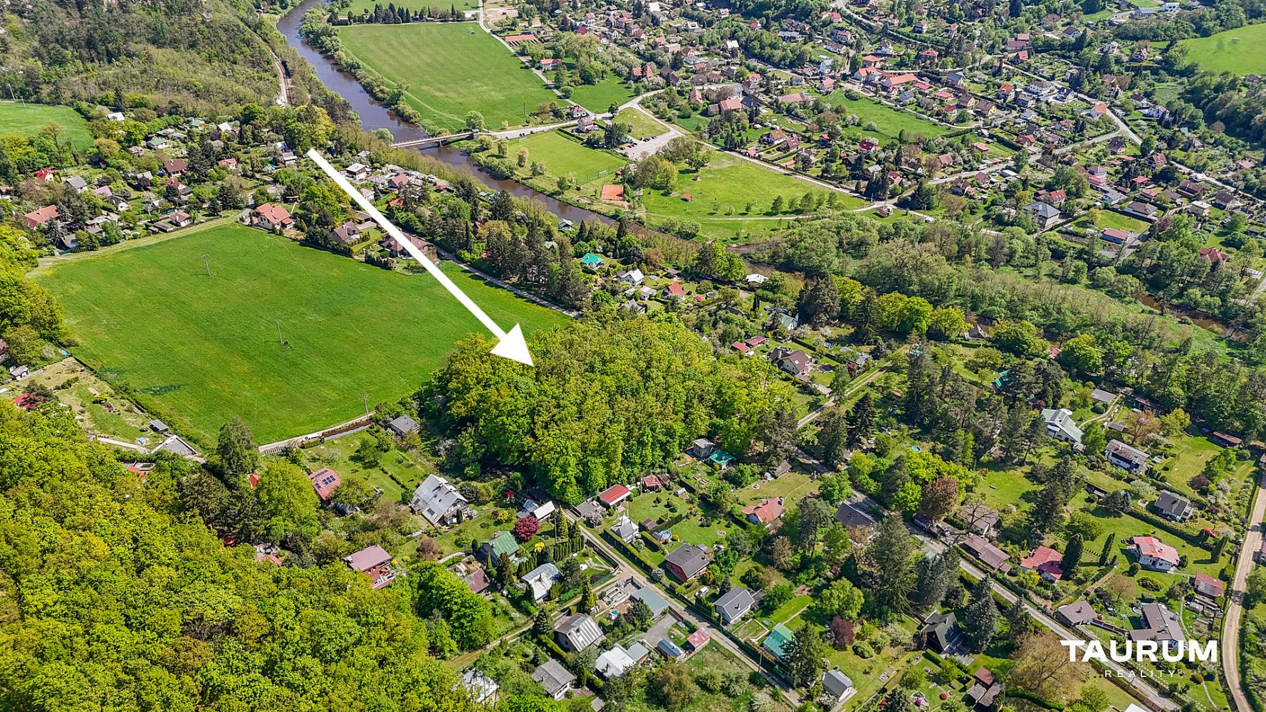 Prodej lesa 6 490 m² – fotografie 5