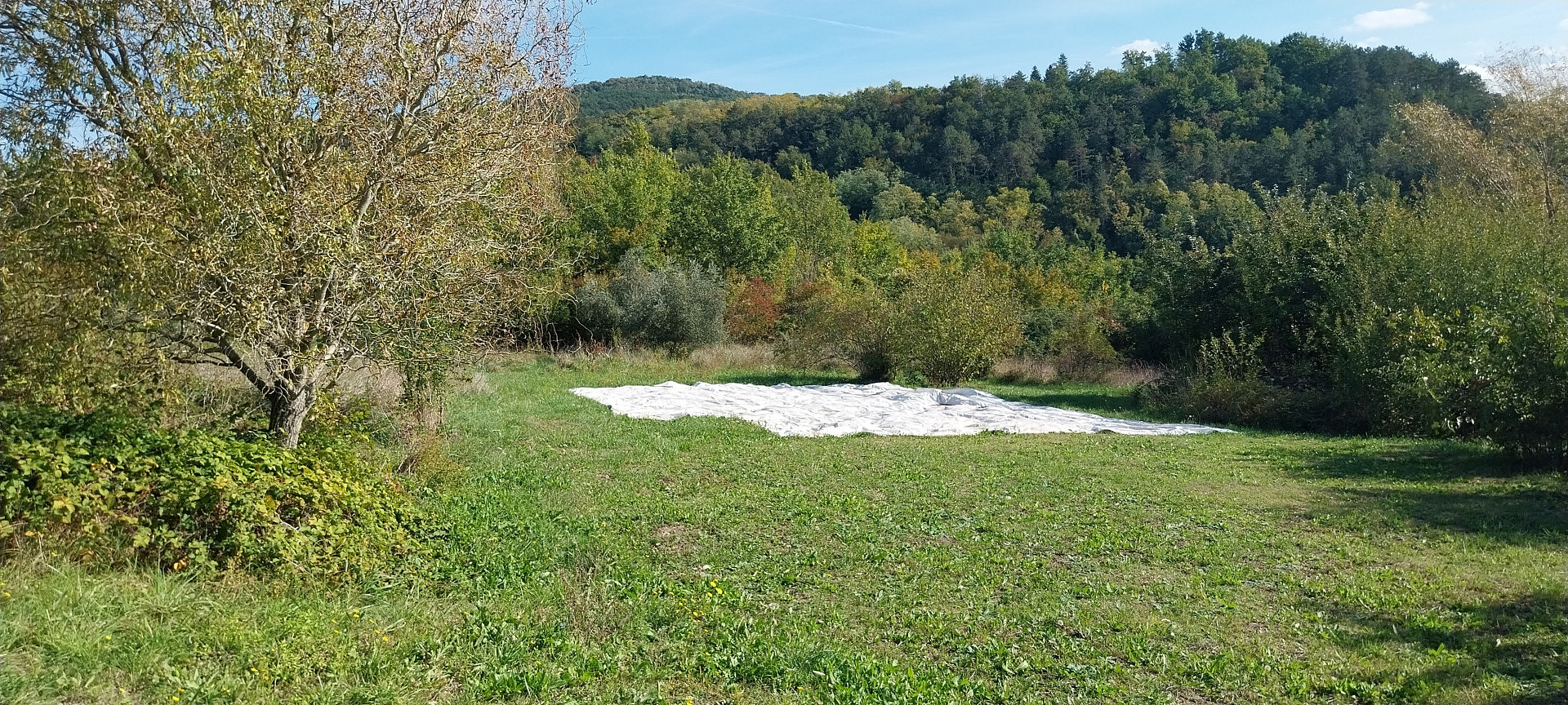 Prodej pole 1 622 m²