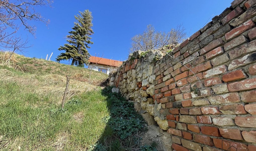 Prodej vinného sklepa s pozemkem (663 m2) ve Valticích-část Úvaly., Valtice – náhled fotky 11
