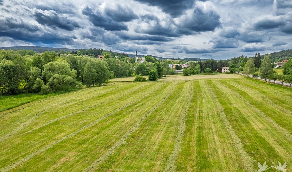 Prodej komerčního pozemku 9 518 m², Stachy – náhled fotky 13