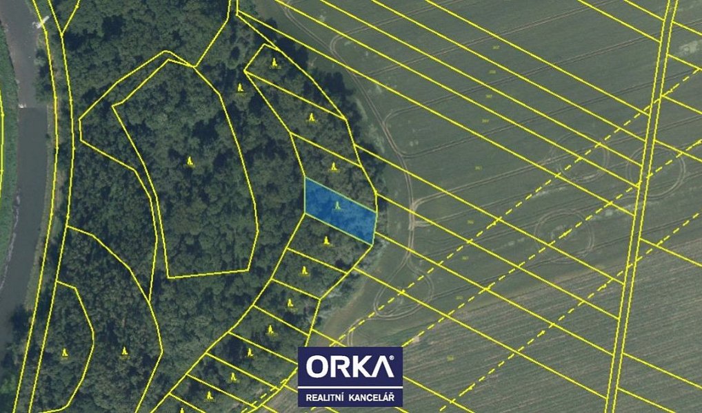 Prodej lesa 82 866 m², Tovačov – náhled fotky 3