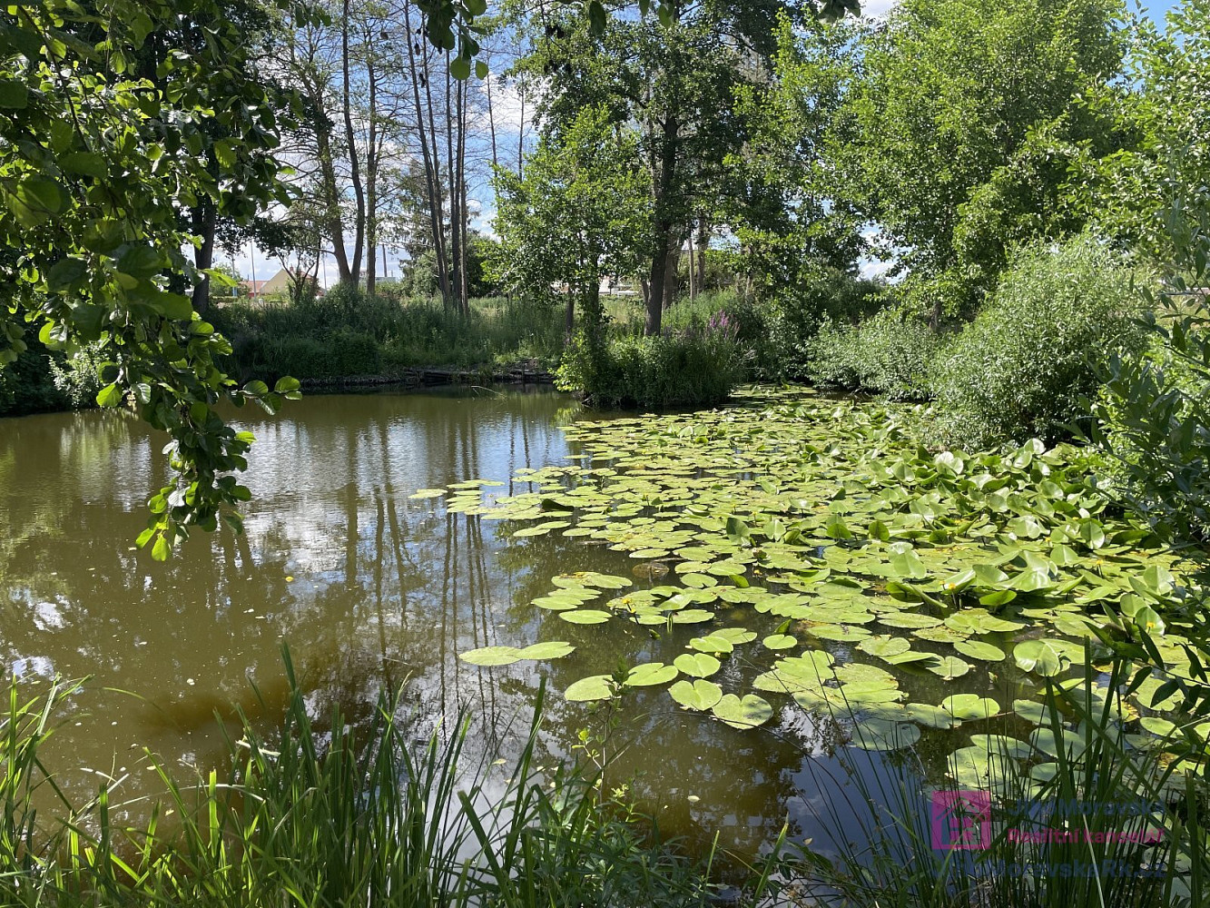 Prodej stavebního pozemku 4 463 m² — photo 4