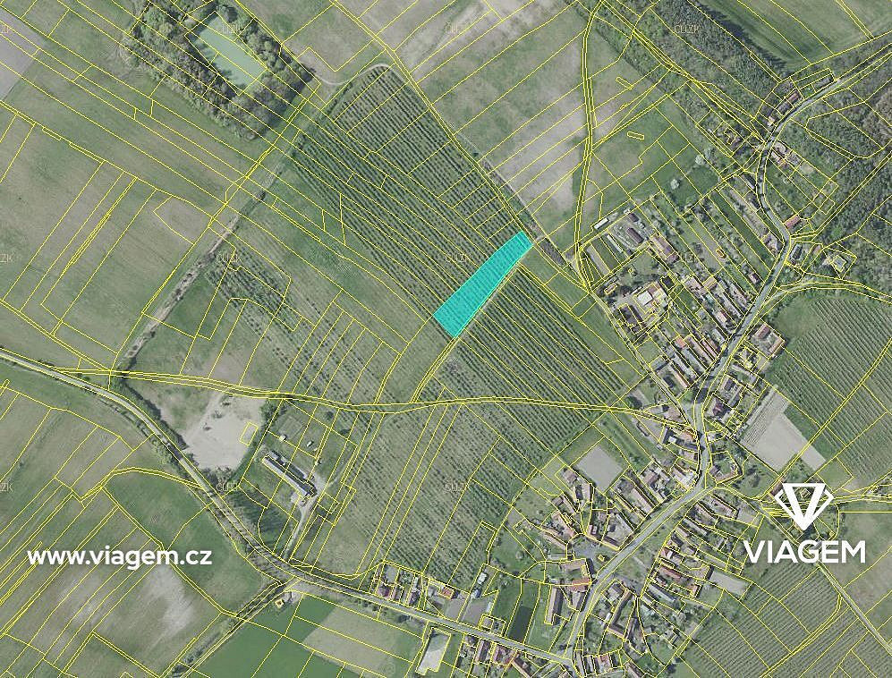 Prodej pole 918 m² – fotografie 3