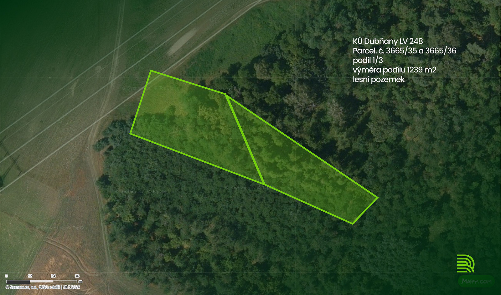 Prodej lesa 1 239 m²