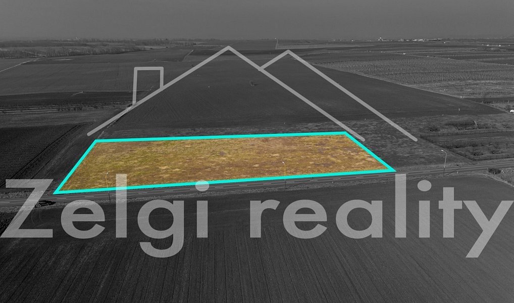 Prodej komerčního pozemku 6 001 m², Moravský Žižkov – náhled fotky 4